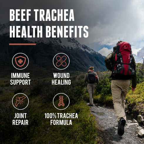 Beef Trachea Benefits