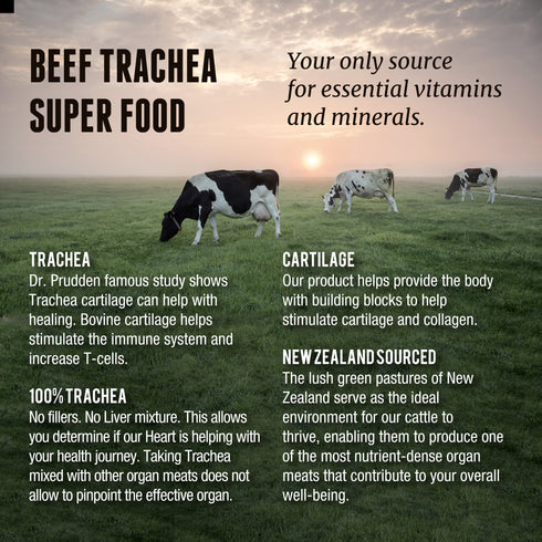 Beef Trachea Benefits