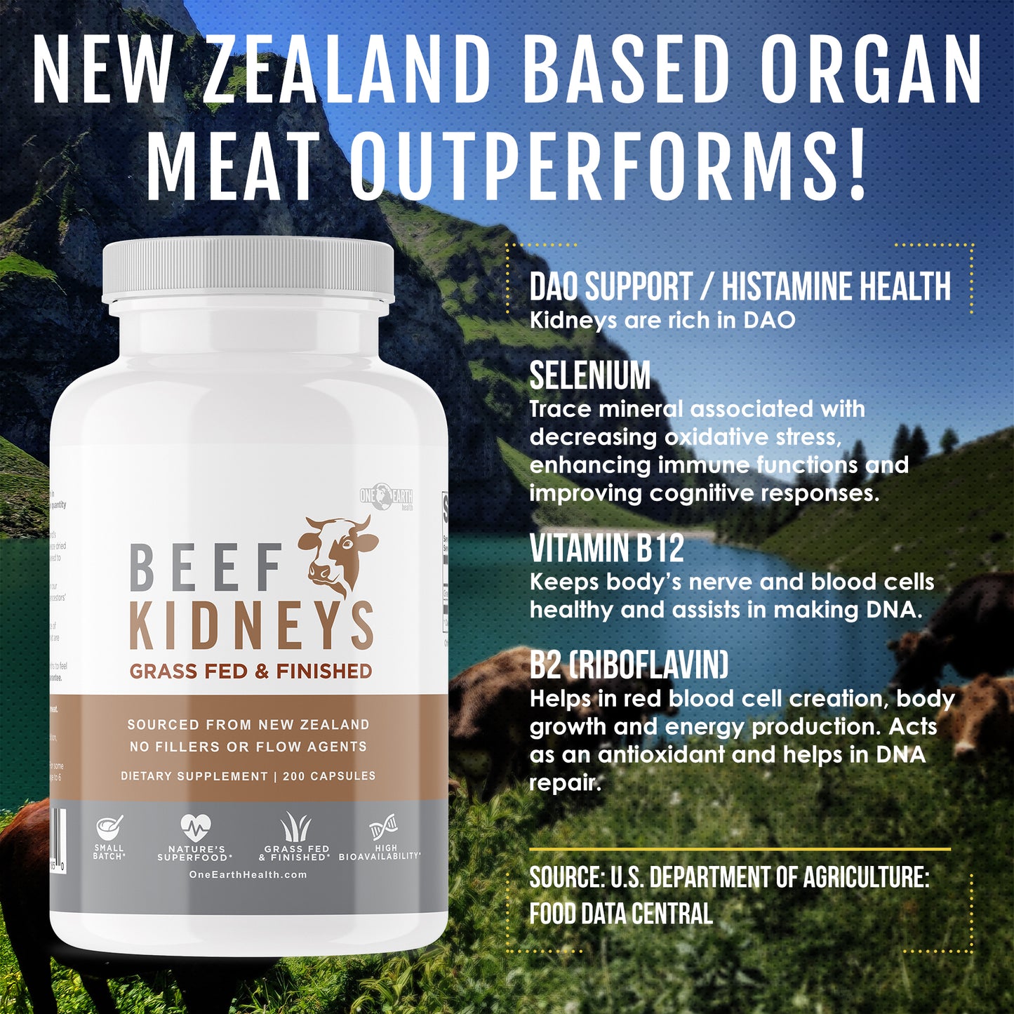 Beef Kidney Supplement—100% Grass-Fed