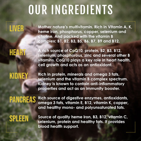 Multi-Organ Supplement from New Zealand Cattle