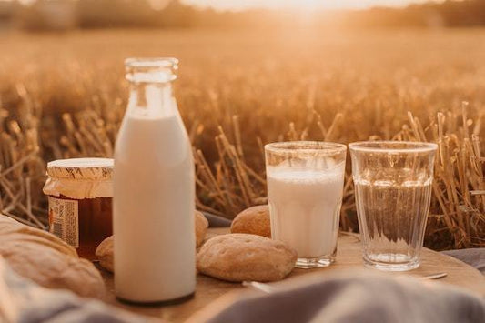What is the Best Milk to Drink on Keto