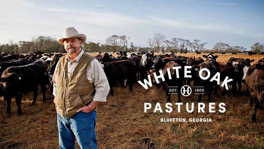 White Oak Pasture: Raising Cattle The Right Way