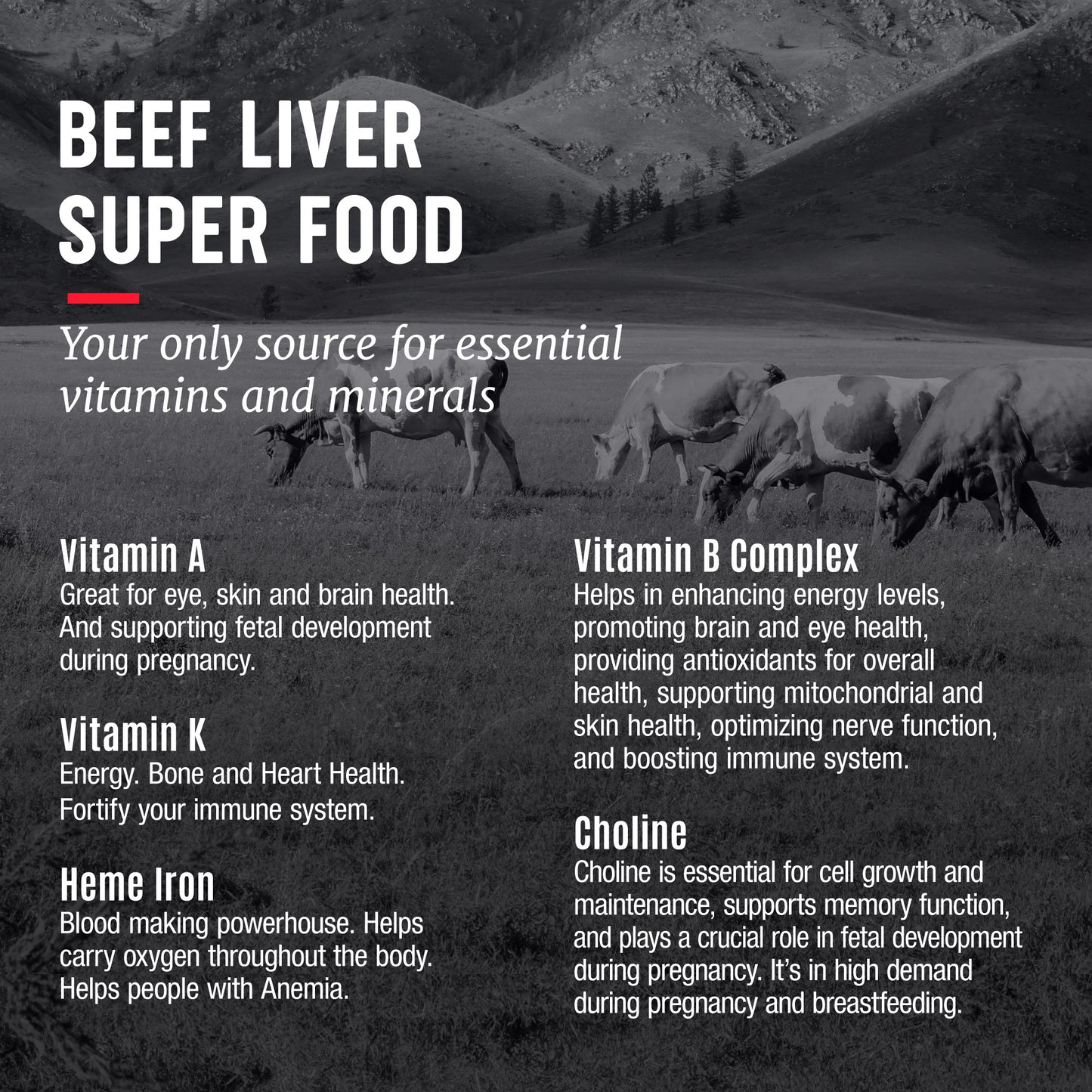 Beef Liver Supplement—100% Grass Fed Liver