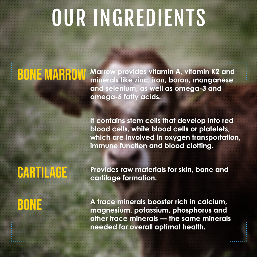 Nutrition in bone marrow